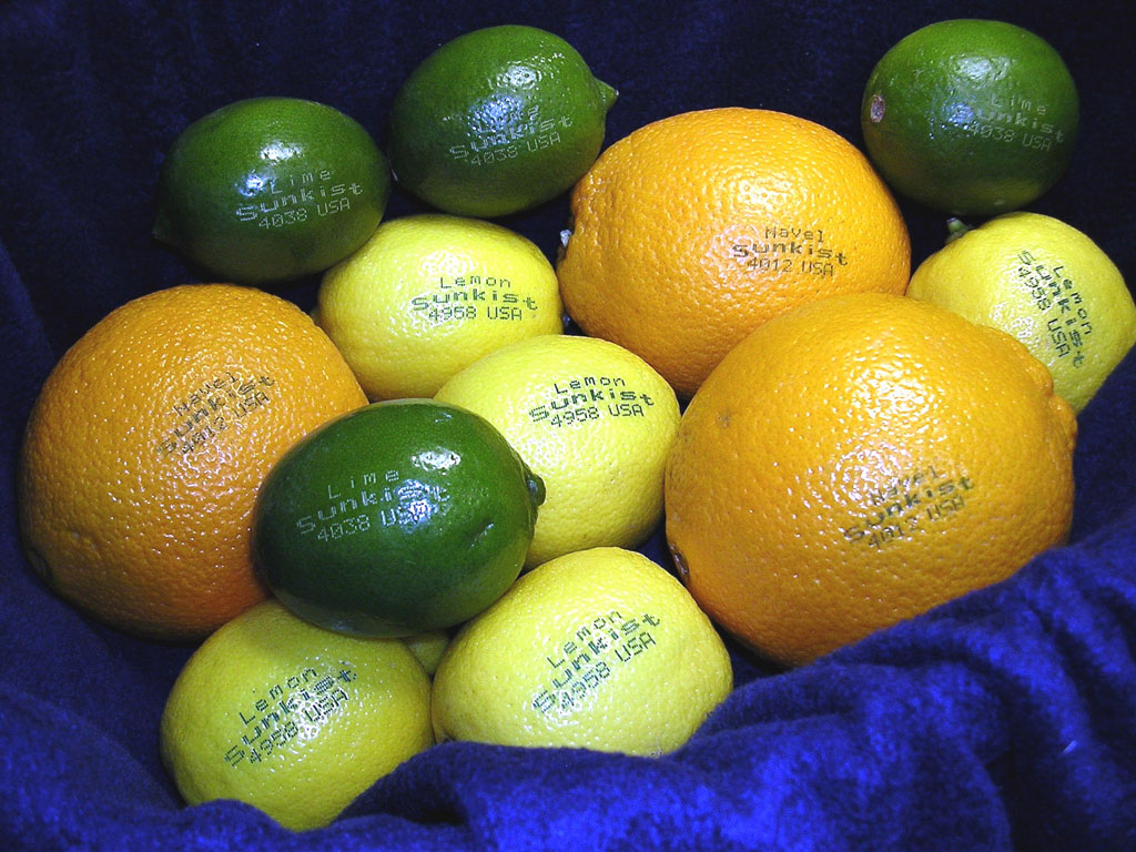 citrus-fruit-laser-etching-technology-offers-alternative-to-labels-developer