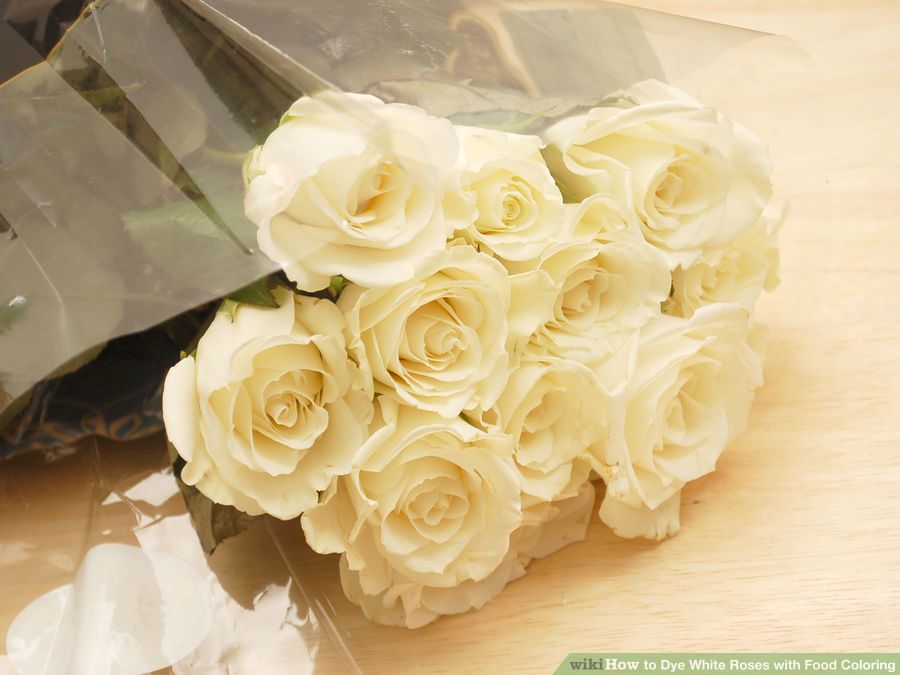 aid4310056-900px-dye-white-roses-with-food-coloring-step-1-version-2