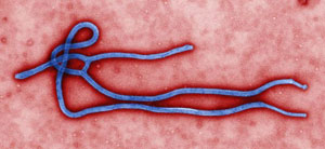 واکسن استنشاقی، راه حل احتمالی مقابله با ابولا