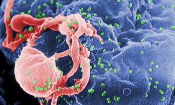 شناسایی منشاء بیماری HIV