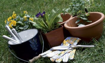 باغبانی در سطل؛ یک تجربه ارزان و پرنشاط