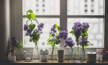 این گیاهان آپارتمانی فضای اتاق را خوشبو می‌کنند
