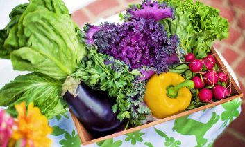 بهترین و موفق‌ترین روش برای کاشت و پرورش سبزیجات متنوع