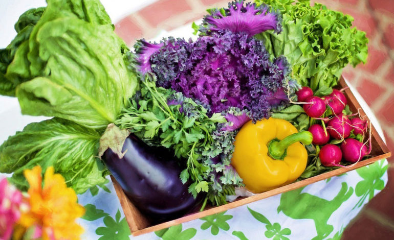 بهترین و موفق‌ترین روش برای کاشت و پرورش سبزیجات متنوع