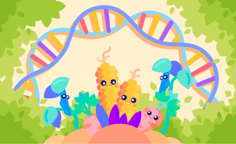 جانداران مهندسی شده ژنتیکی