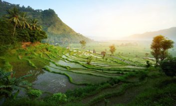 فصل سفر به بالی و بازدید از شگفتی‌ها و عجایب سرزمین خدایان