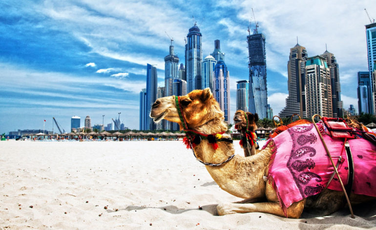 برنامه‌ریزی برای لذت بردن از سفر به دوبی در تعطیلات