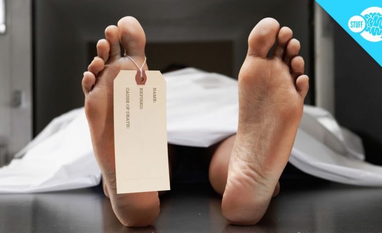 نیم‌نگاهی به فرایند وحشتناک کالبدشکافی: از شکافتن جسد انسان تا معاینه و دوختن