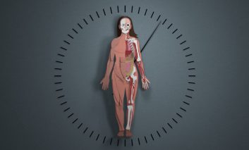 از حقیقت تا شایعه... تولد چندباره بدن انسان در طول حیات