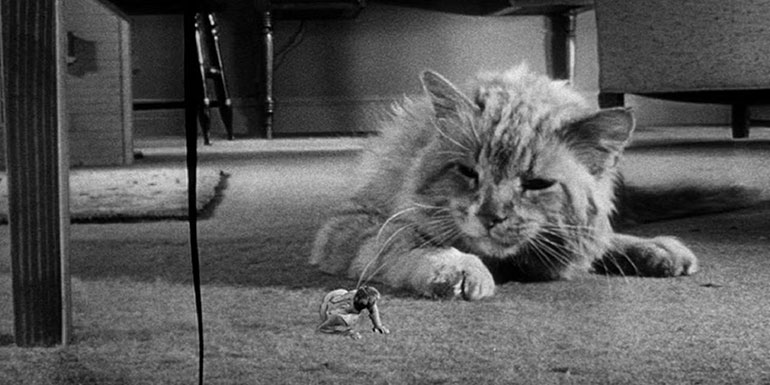 'The Incredible Shrinking Man' (1957)