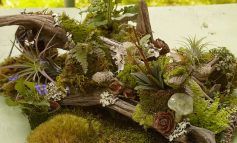 باغی برای وسط میز