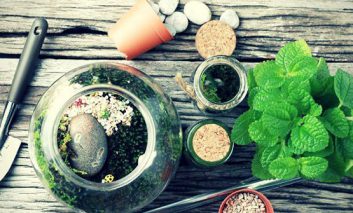 ضروری‌ترین نکاتی که باید برای پرورش گل و گیاه در خانه بدانید