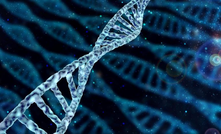پیش‌بینی طول عمر بر اساس نمره ژنتیکی