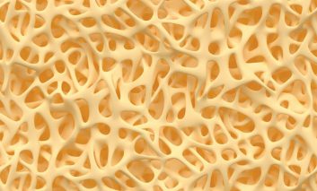 پوکی استخوان: آیا پروبیوتیک‌ها می‌توانند از سلامت استخوان‌ها محافظت کنند؟