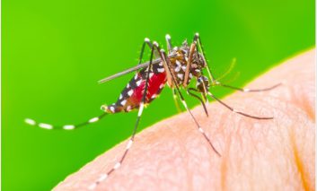 بی رغبت کردن پشه‌ها به خون انسان از طریق داروهای رژیمی
