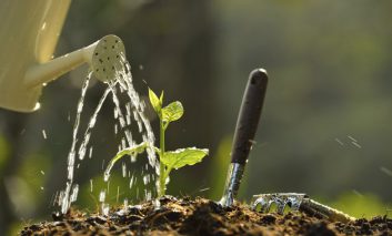 یک سم ارگانیک دیگر، آب و صابون!