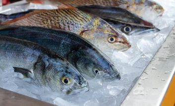 افزایش سطح جیوه در بدن ماهی‌ها