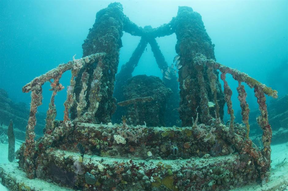 Neptune Memorial Reef, Florida, USA