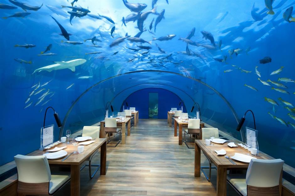 Ithaa Undersea Restaurant, the Maldives