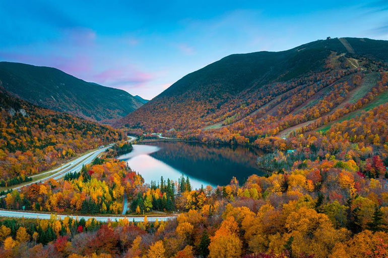 Fall leaves, Franconia Notch State Park, New Hampshire