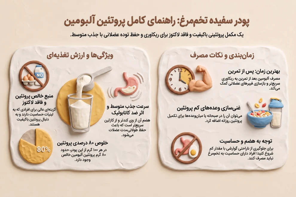 پودر سفیده تخم مرغ چقدر پروتئین دارد-بهترین زمان مصرف پودر سفیده تخم مرغ در بدنسازی