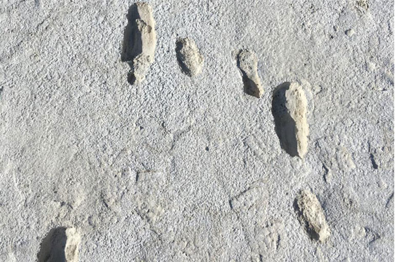 Fossilised footprints, White Sands National Park, New Mexico