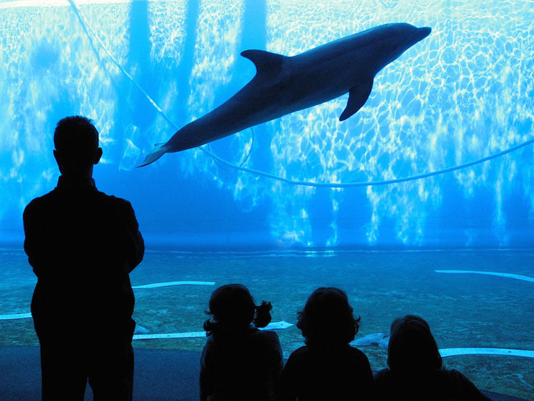 Aquarium of Genoa (about 1 million gallons)