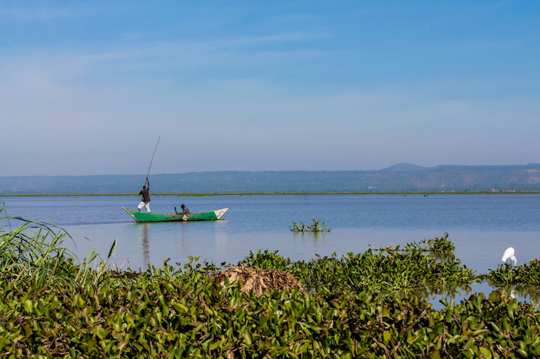 Lake Victoria (68,870 km2)
