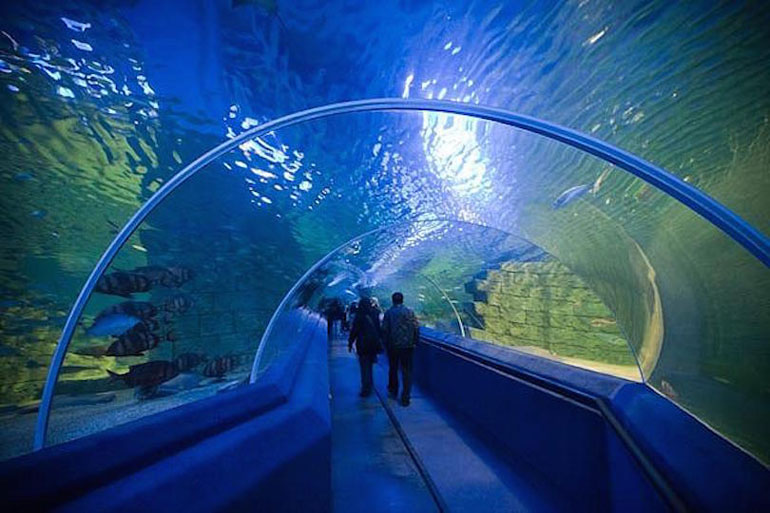 Turkuazoo (1,32 million gallons)