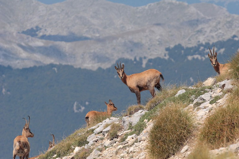 پارک ملی آبروزو از دیدنی و بکرترین پارک های ملی ایتالیا