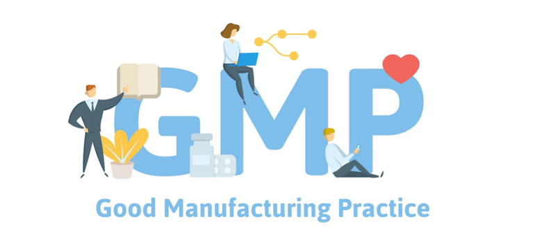 GMP چیست و چه کاربردی دارد؟