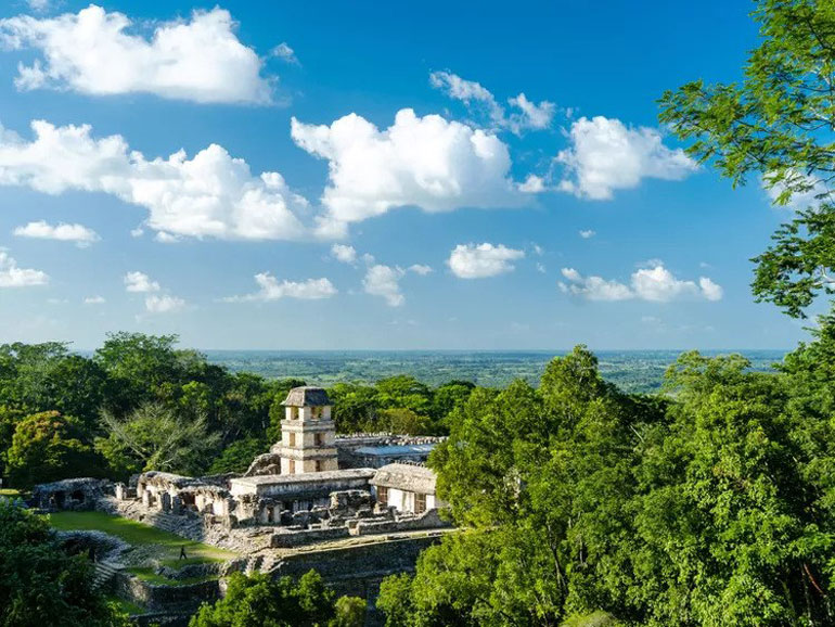 Palenque National Park