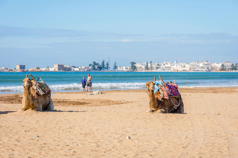 Essaouira Beach