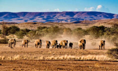 زیباترین پارک‌های ملی آفریقای جنوبی