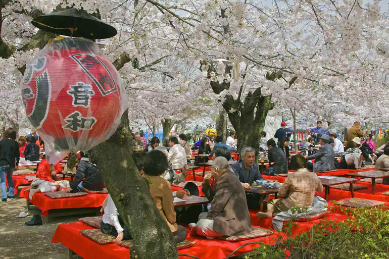 Hanami (Cherry Blossom Festival)