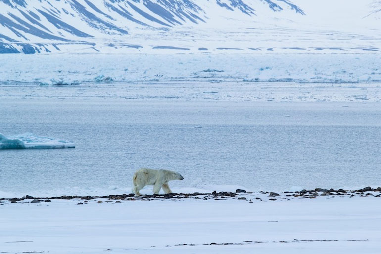 Sor-Spitsbergen National Park