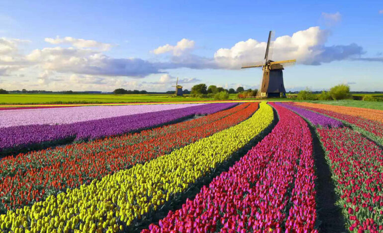 بهترین زمان سفر به هلند