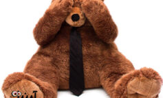 چطور و از کجا عروسک خرس بزرگ ارزان قیمت و با کیفیت خریداری کنیم؟