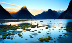 زیباترین پارک‌های ملی نیوزیلند