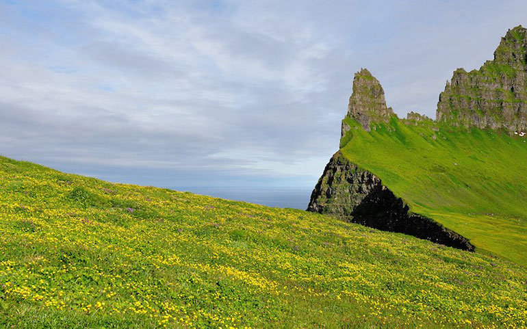 Hornstrandir Nature Reserve