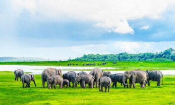 زیباترین پارک‌های ملی سریلانکا