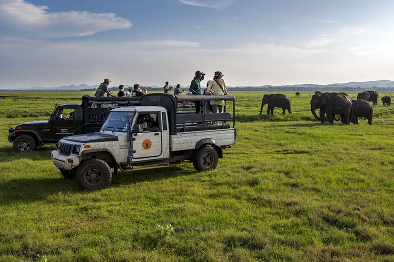 Kaudulla National Park