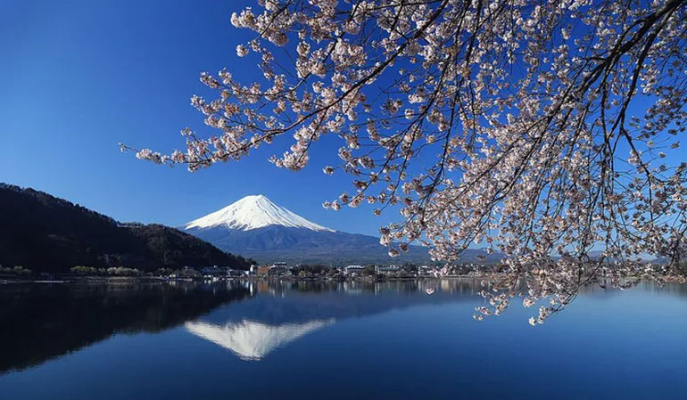 Fuji Hakone Izu National Park