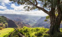 بهترین پارک‌های ملی در هاوایی