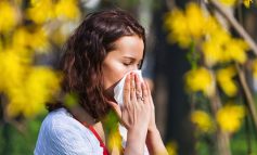 آلرژی در فصل بهار: علائم، پیشگیری و درمان