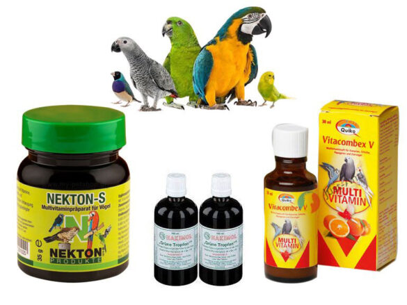 بهترین مولتی ویتامین ها برای تقویت و رشد پرندگان