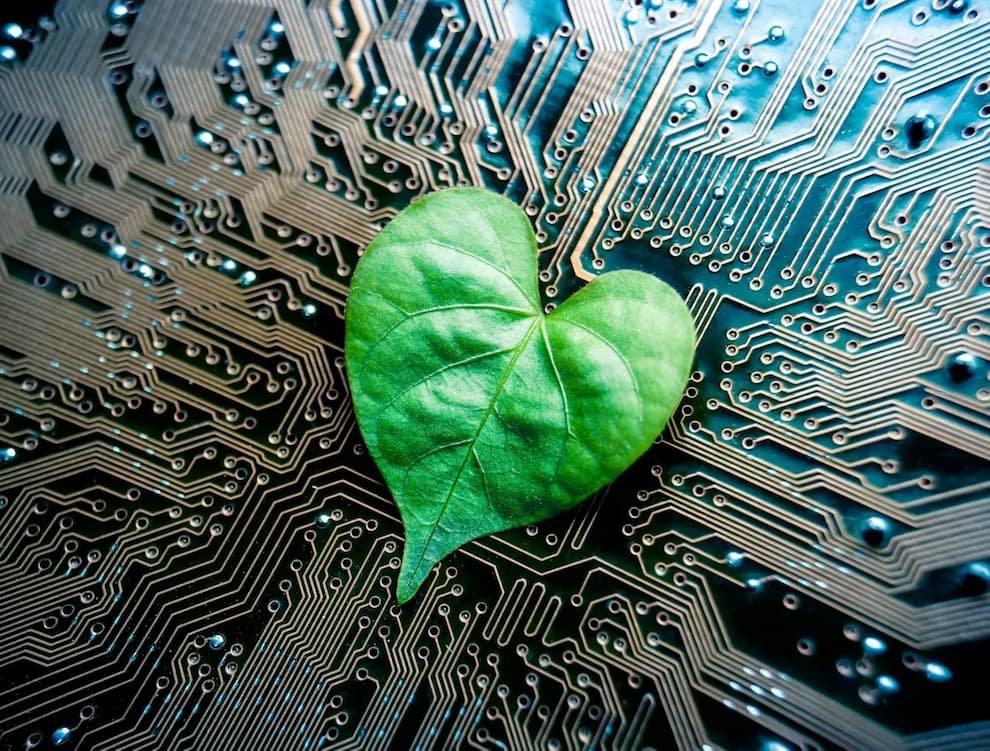 حذف دی‌اکسید کربن