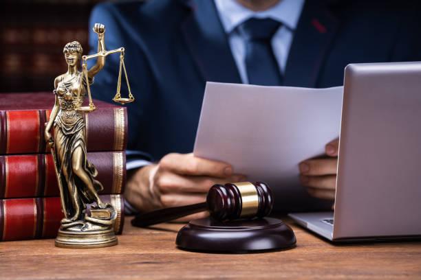 3,000+ Lawyer Reading A Book Stock Photos, Pictures & Royalty-Free Images - iStock