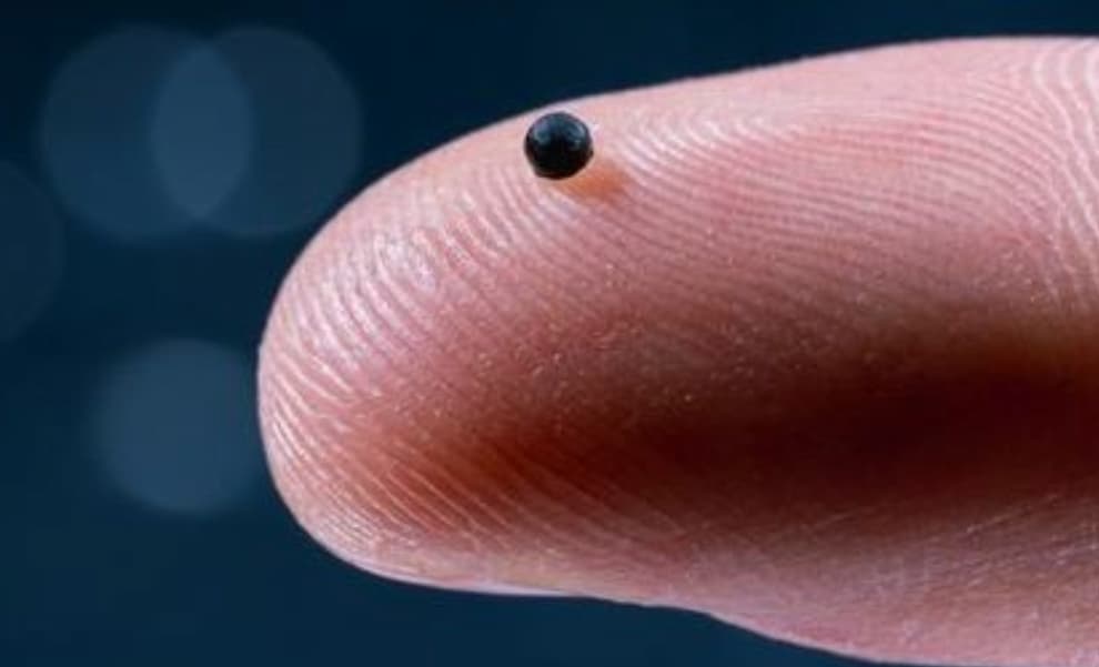 میکروربات‌ها