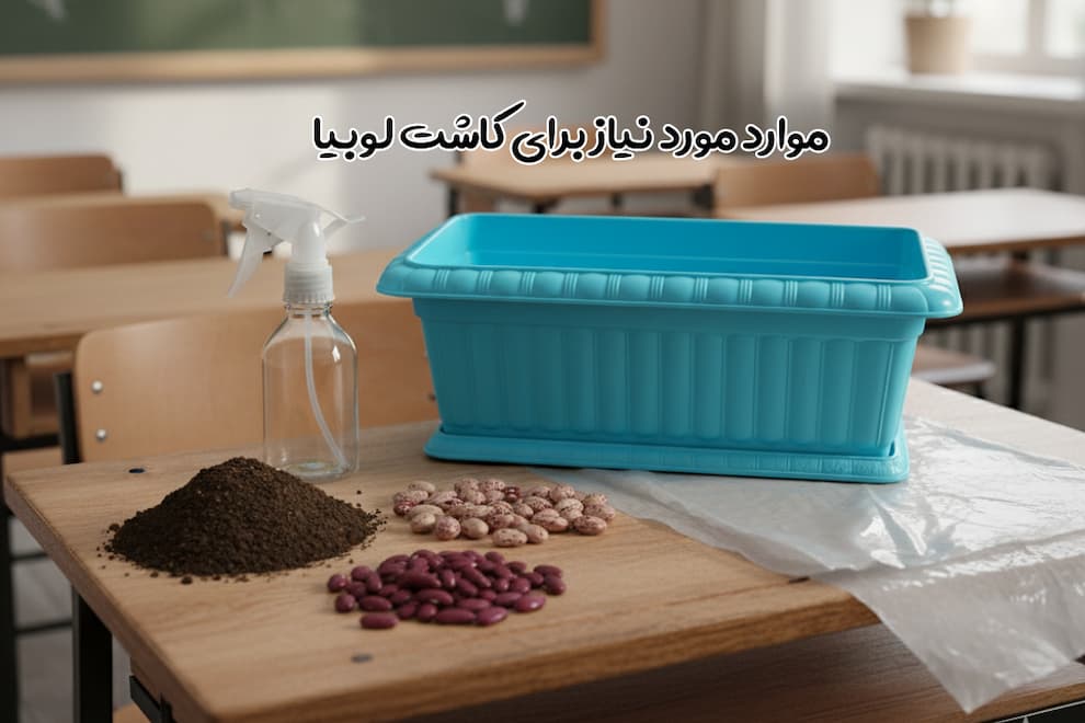 ابزار مورد نیاز برای کاشت لوبیا برای مدرسه
